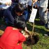Japanese - European Friendship Plantation for the Planet